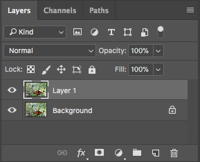 Duplicate Layer