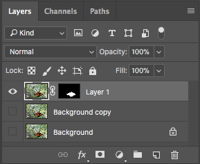 Layer Pane