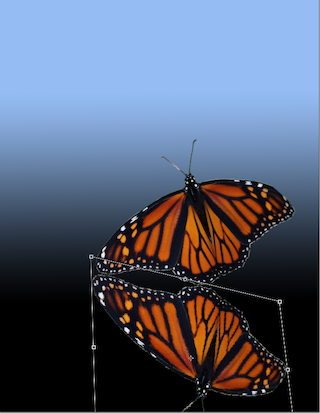 Skewed Butterfly