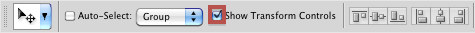 Show Transform Controls