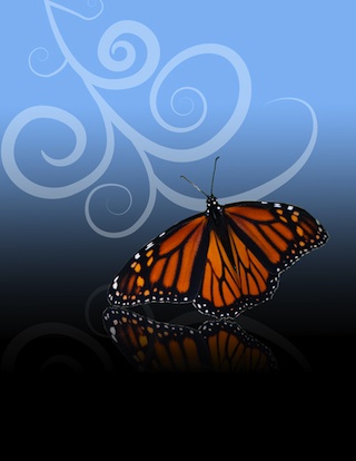 Butterfly Done